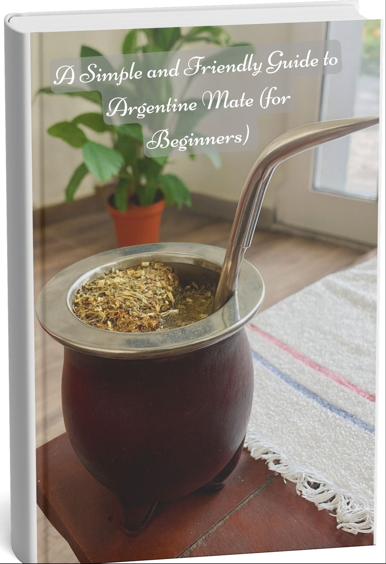 Friendly Guide to Argentine Mate (for Beginners)